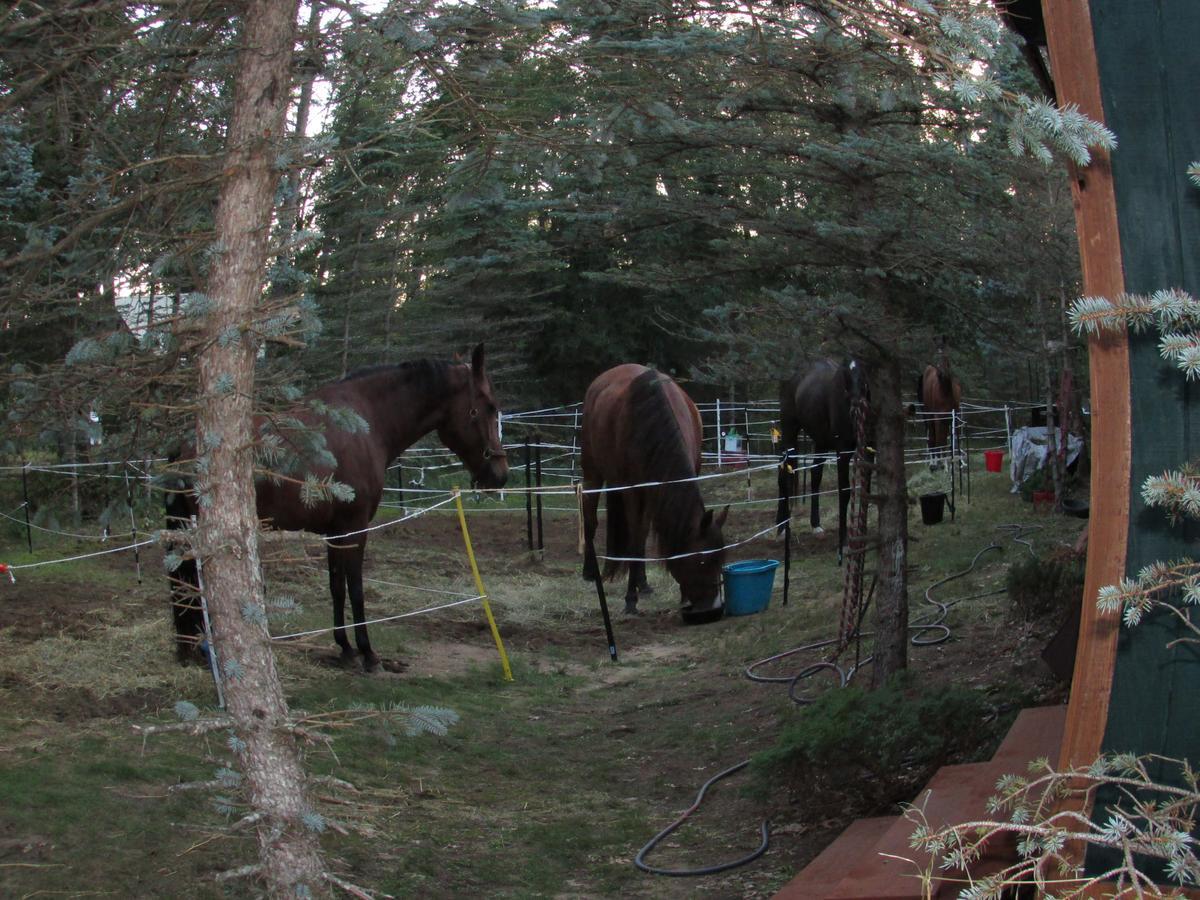 Best Bear Lodge & Campground Irons Экстерьер фото